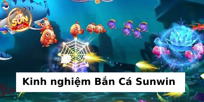 Kinh nghiệm chơi Bắn Cá Sunwin